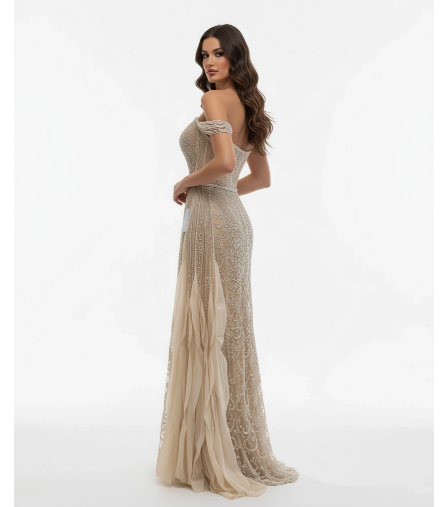 Celestial Cape Gown With Feathered Embellished